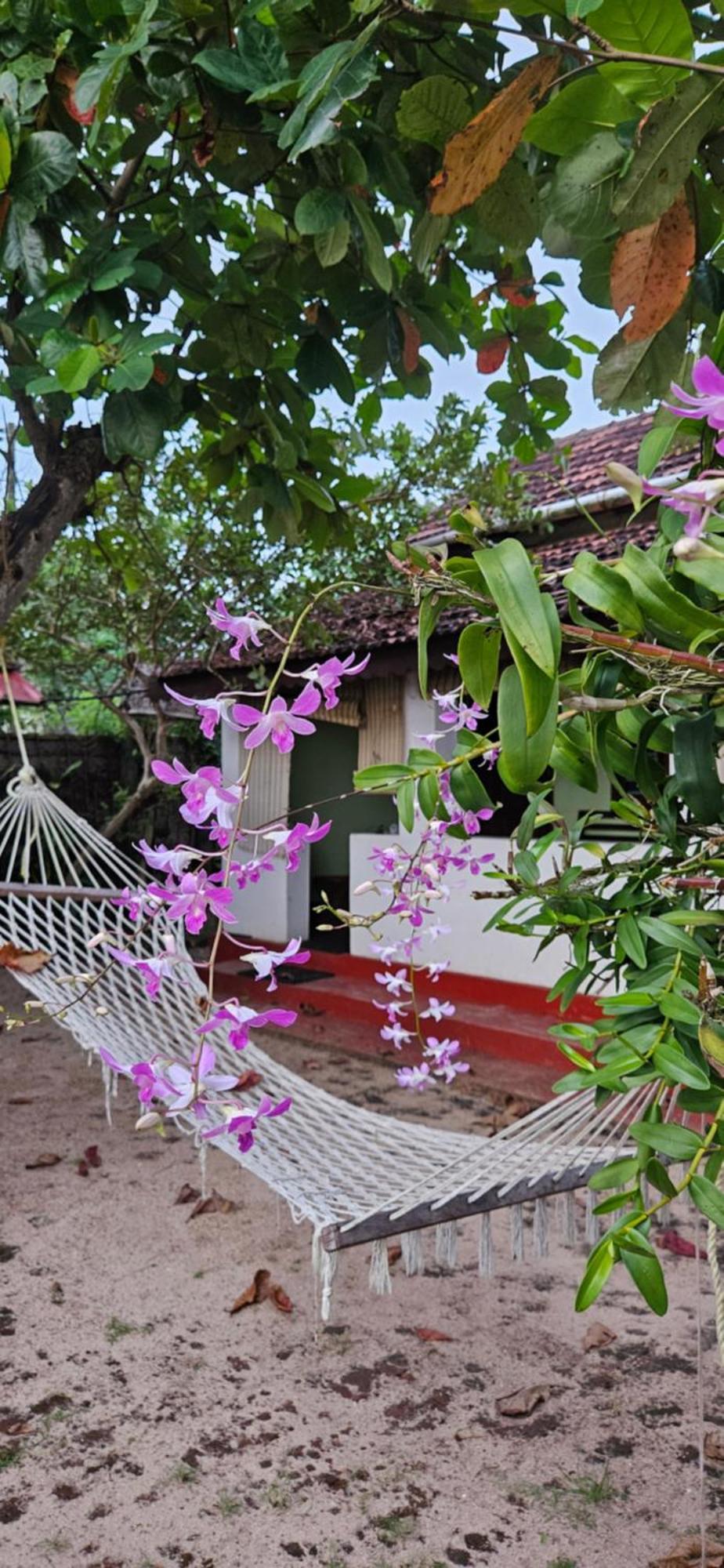 Angeo Beach House Alappuzha Exterior photo